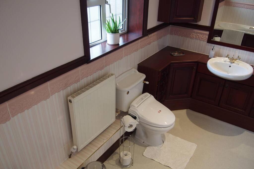 Hectors House Comfortable 4 Bed House In Mature Gardens Yelverton Exterior photo